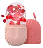 Ρολό για Μασάζ Προσώπου από Πάγο Anti-Aging Face Ice Roller Cube Pink