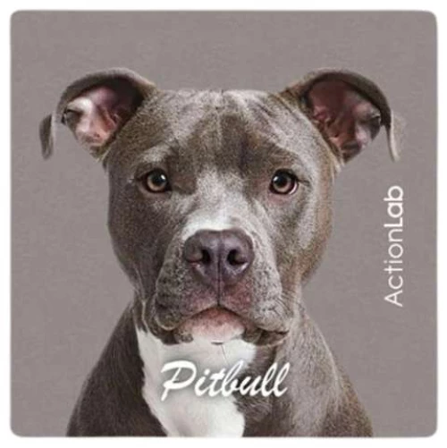 Action Lab Μαγνητάκι Magnet Pitbull