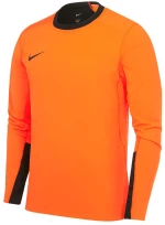 NIKE NIKE M TEAM GK JERSEY LONG 0356NZ-815