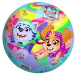John Μπάλα Πλαστική Paw Patrol Ø23cm (2 Σχέδια)