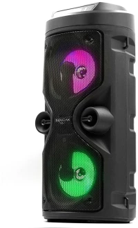 Φορητό Ηχείο BLuetooth SQUEAK SQ1004 Μαύρο 40 W