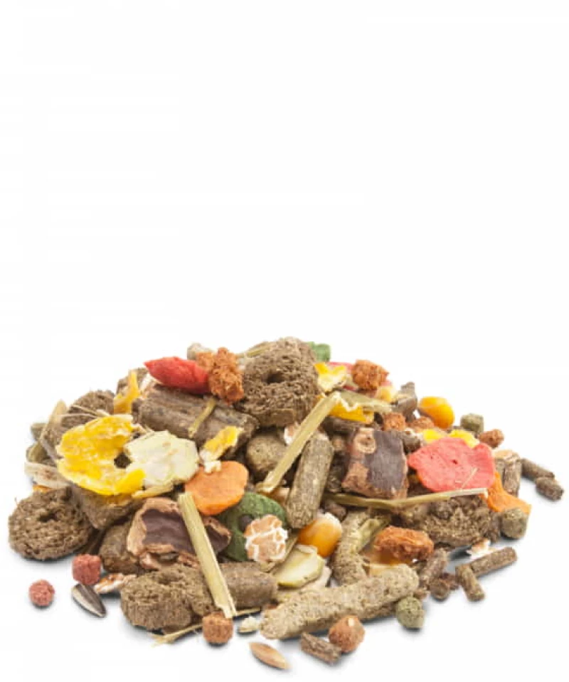 Versele-Laga Crispy Muesli Rabbits Τροφή Κουνελιών μίνι - 2.75KG