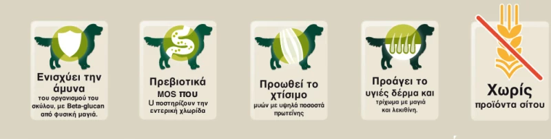 BEWI DOG Κονσέρβα Σκύλου Με Μοσχαράκι - 400gr X 6ΤΜΧ