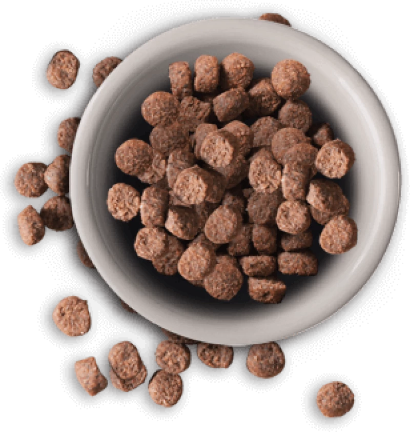 Leonardo Light & Sterilised - 7.5KG
