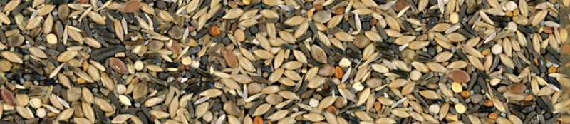 MANITOBA Cardellino Premium - 15KG