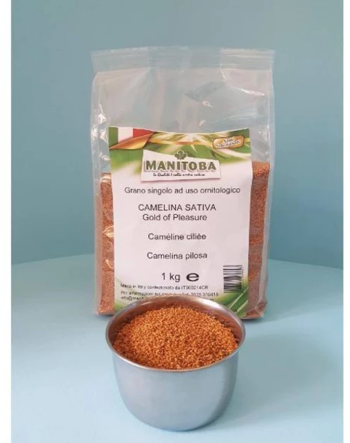 MANITOBA Camelina 1kg - 1KG