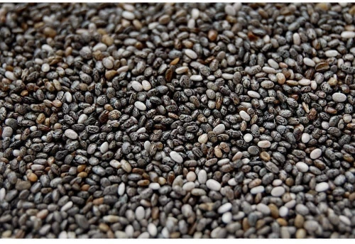 Κία (Chia) Salvia Hispanica - 500gr