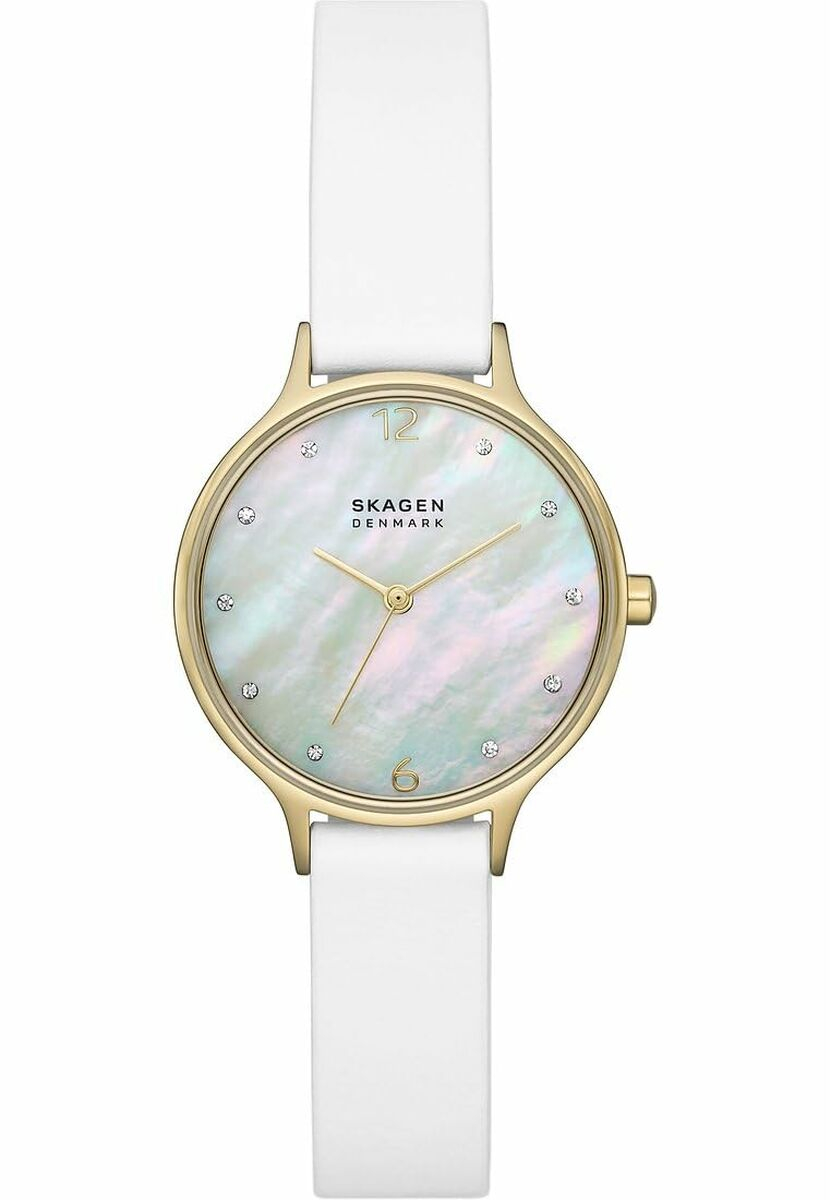 Γυναικεία Ρολόγια Skagen SKW3138