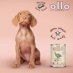 Υγρό φαγητό Ollo