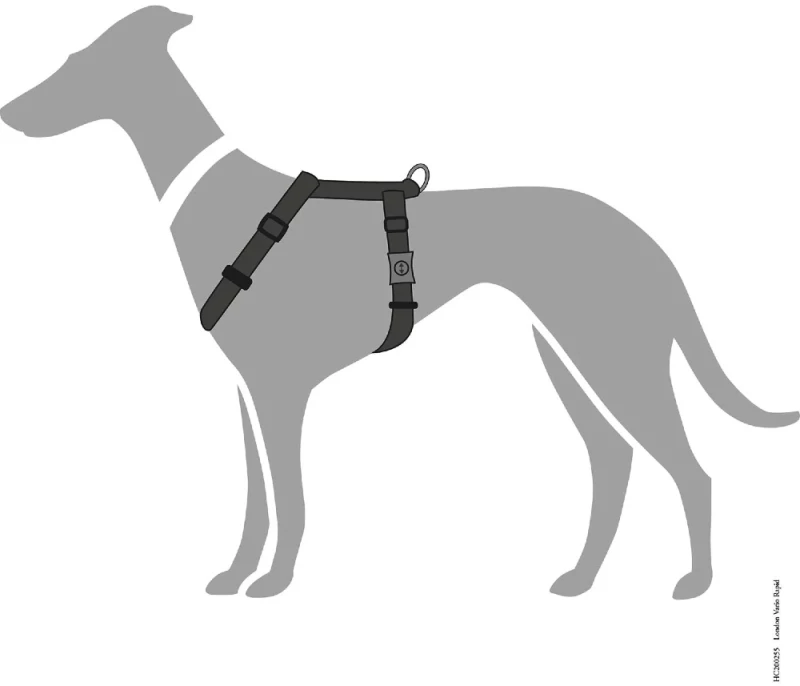 Σαμαράκι Σκύλου Hunter Harness London Vario Rapid XXS/2 1x22-36cm Μαύρο