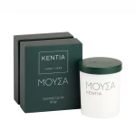 Αρωματικό Κερί Mood 25 Μούσα 160gr Secret Wood Kentia Κερί