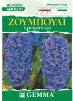 Ζουμπούλι Μπλε