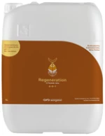 Βιοδιεγέρτης Regeneration | 20lt