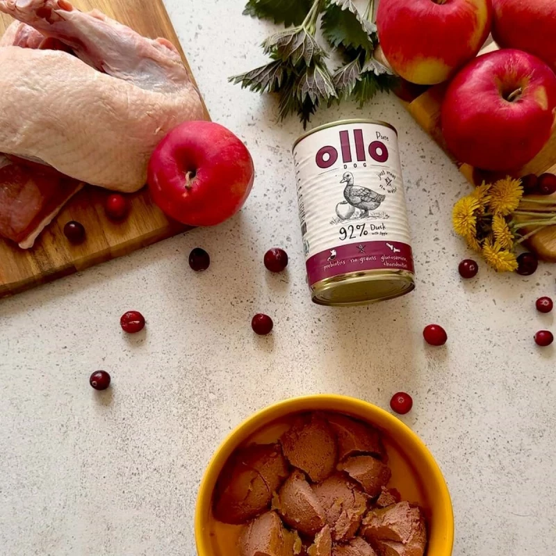 Υγρό φαγητό Ollo