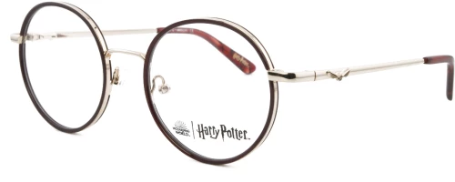 HARRY POTTER HP021 Er