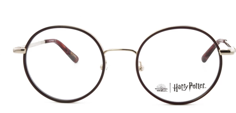 HARRY POTTER HP021 Er
