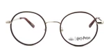HARRY POTTER HP021 Er