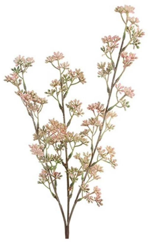 Prunus κλαδί ροζ