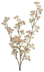 Prunus κλαδί ροζ