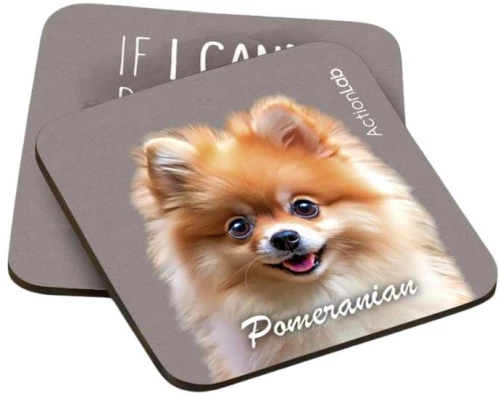Action Lab Souver Pomeranian 2pcs