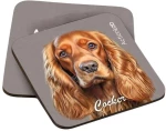 Action Lab Souver Cocker 2pcs