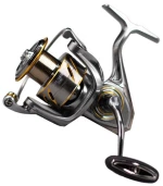 Ryobi Zauber SW - 3000