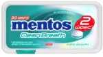Mentos Wintergreen 21gr