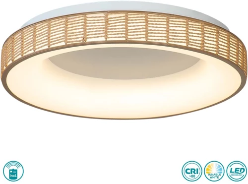 Φωτιστικό Οροφής Sun Light FORTE-60-Y Φυσικό Χρώμα