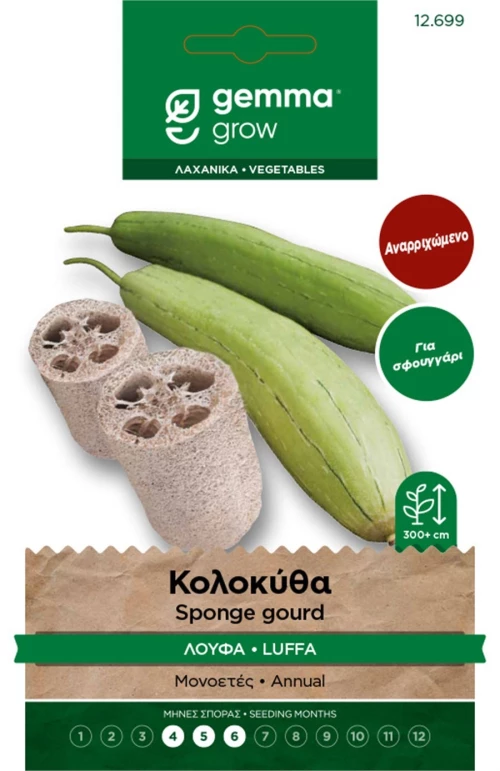 Κολοκύθα Luffa