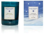 Blue Scents Scented Soy Candle Occania 145gr