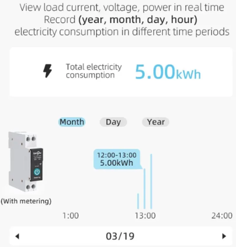 Ράγας Διακόπτης Ράγας WiFi 230V 63A