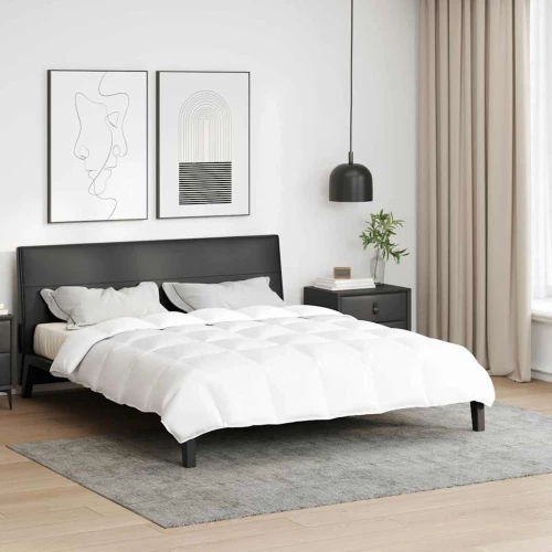 vidaXL Κουβέρτια & Κουβέρτες Λευκό 200 x 220 cm Πούπουλο