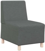 vidaXL Μοναδικός Καναπές χωρίς Χερούλια 2 pcs Σκούρο γκρι