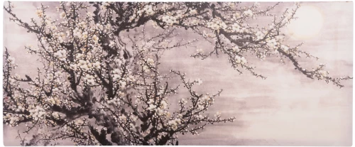 ΠΙΝΑΚΑΣ TOIXOY ΣΕΙΡΑ GOBI HM4796 ΕΚΤΥΠΩΜΕΝΟΣ ΚΑΜΒΑΣ 120x2,5(πάχος)x49Υεκ.