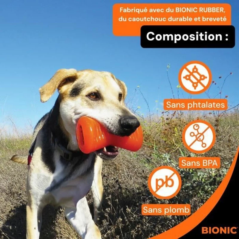 Παιχνίδια για Σκύλους Bionic Urban stick Πορτοκαλί 12 cm M Κόκαλο