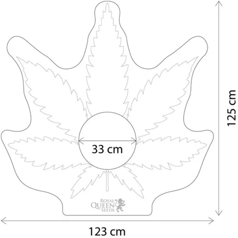 Royal Queens Seeds Pool Float