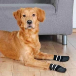 Κάλτσες Trixie Μαύρο S/M Σκύλος