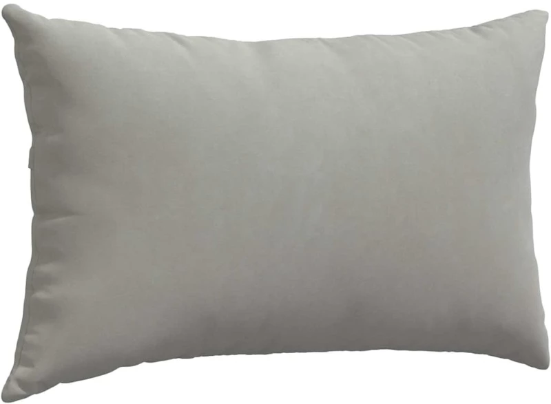 vidaXL Μαξιλάρι Καναπέ 2 pcs Ανοιχτό γκρι 50 x 30 cm ύφασμα