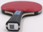 Ρακέτα Ping Pong Butterfly Dimitrij Ovtcharov Sapphire Κωδ. 97168