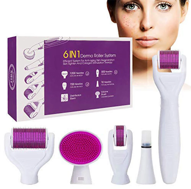 Derma Roller Σετ 6 σε 1 με Βελόνες Τιτανίου 0.5-2mm