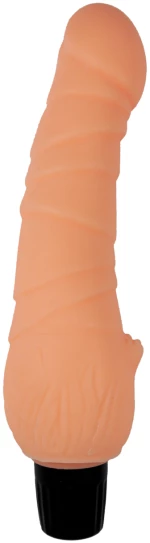 VIBRATOR HARRY 7 FUNCTION