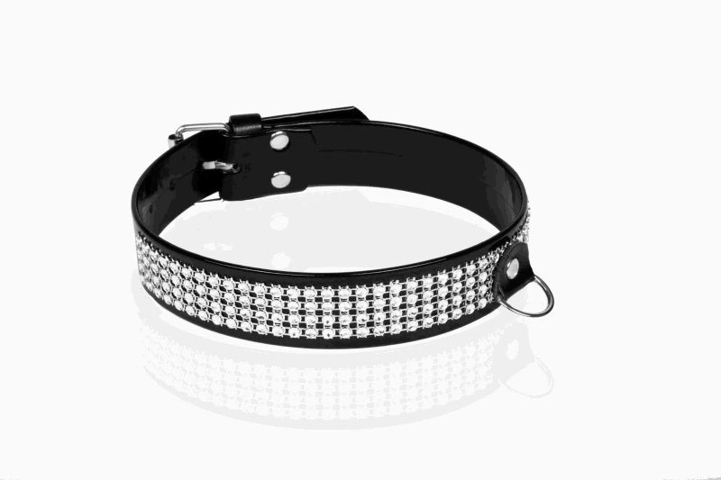 Whips Women's collar with crystalls