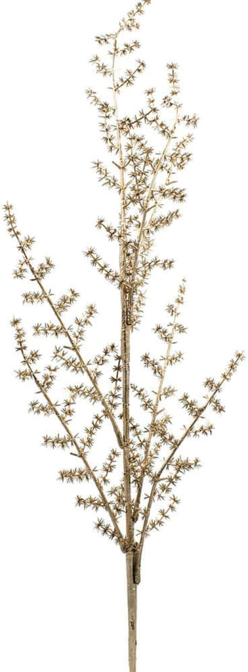 Χριστουγεννιάτικο Κλαδί 224165 78cm Gold