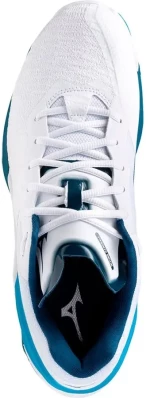 Indoor Handball Mizuno Wave Stealth Neo White / Sailor Blue / Silver