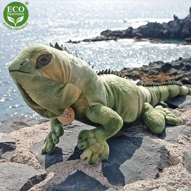 RAPPA ΛΟΎΤΡΙΝΟ ΙΓΚΟΥʼΝΑ 70 ΕΚ. ECO-FRIENDLY (198128)- RA-198128