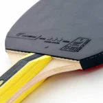 Ρακέτα Ping Pong Cornilleau Sport 434000