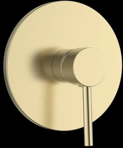 GINI- ΜΠΑΤΑΡΙΑ ΛΟΥΤΡΟΥ ΕΝΤΟΙΧΙΣΜΟΥ ONE FUNCTION BRUSH GOLD - GLORIA
