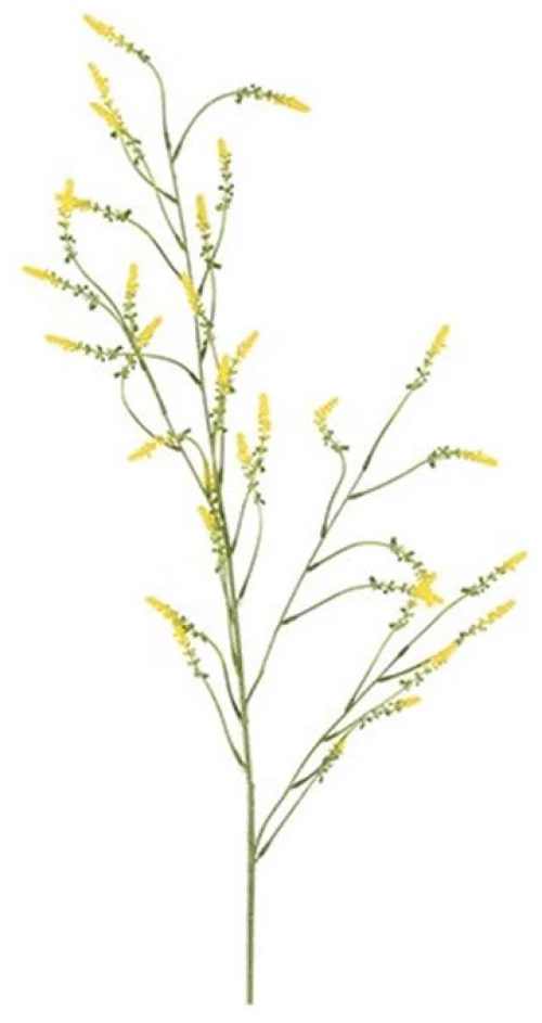 Melilotus κλαδί κίτρινο 115εκ.