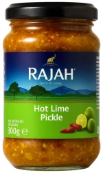 Πάστα με Λάιμ Rajah Hot Lime Pickle Paste