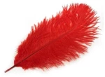 Furry red